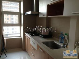 沈阳铁西北二路新湖明珠城租房推荐 精装修两室一厅，家电齐全的理想居所