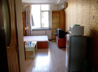 沈阳沈河区整租交通便利精装修租房，优质房源推荐